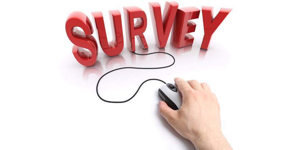 Student Online Survey