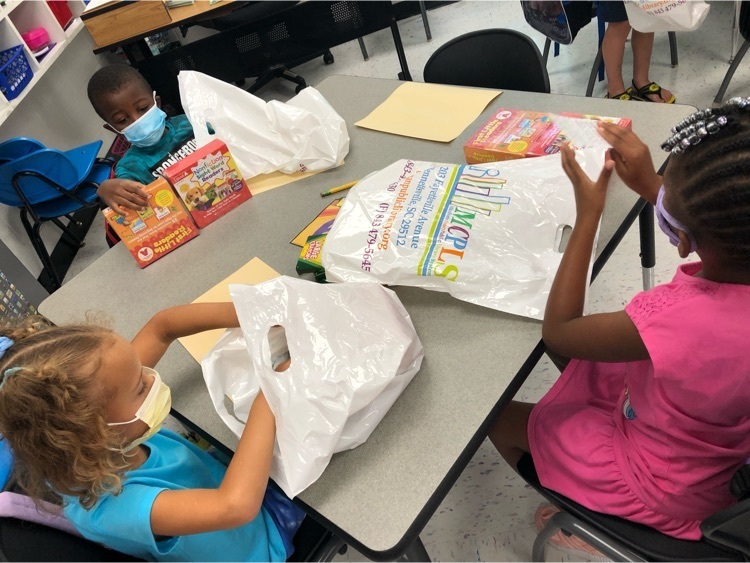 Live Feed Primary School